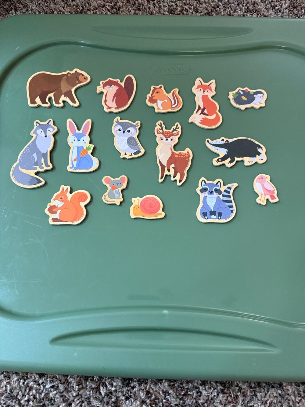 Wooden Wildlife Magnets